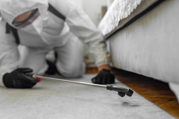 Professional Bed Bug Control technician working in Hamburg, PA
